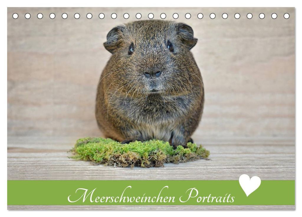 Meerschweinchen Portraits (Tischkalender 2027 DIN A5 quer), CALVENDO Monatskalender