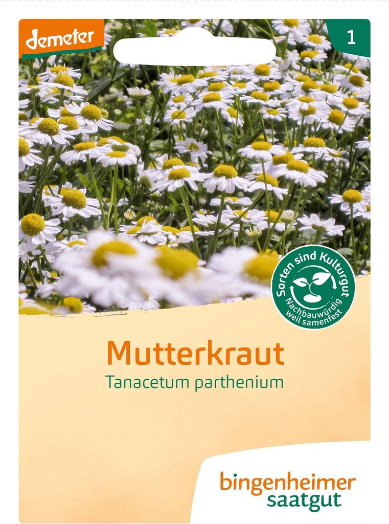 Artikelbild 2 von 'BIO Mutterkraut' aus der Kategorie Kräutersamen