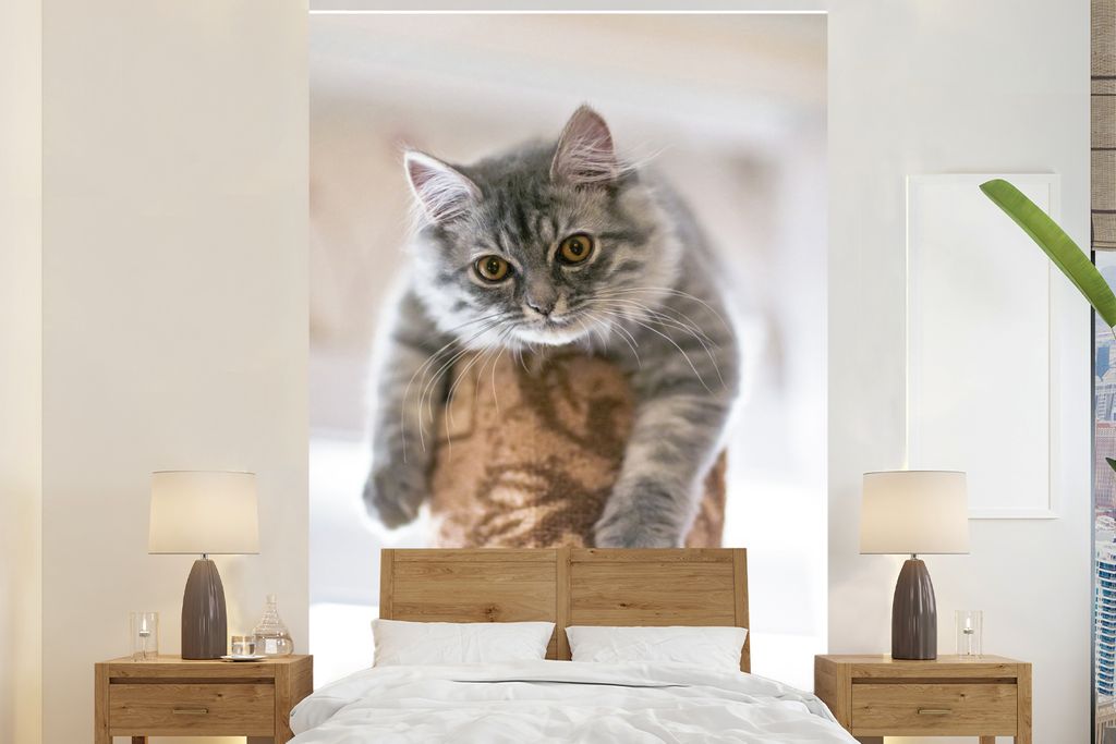 MuchoWow Fototapete für Wohnzimmer oder Schlafzimmer Wandtapete Vinyl Motivtapete Katze - Kratzbaum - Augen - 225x350 cm - Schlafzimmer tapete