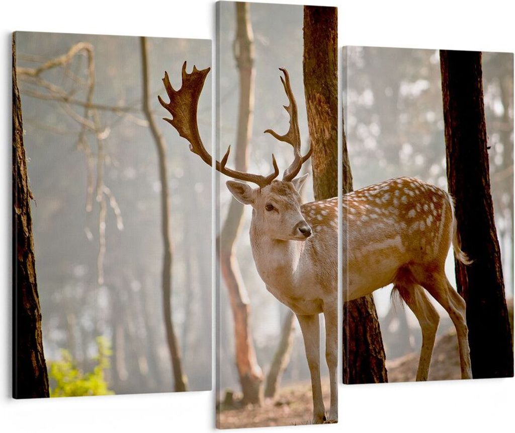 Bild auf Leinwand - Leinwandbild - Kitz Hirsch Tier wild - 95x80cm - Wand Bild - Wanddeko - Leinwanddruck - Bilder - Kunstdruck - Wanddekoration - ...