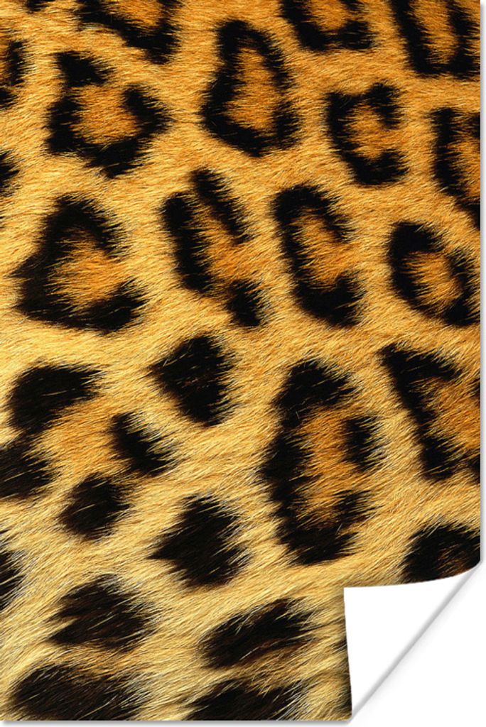 MuchoWow Poster Mantel - Panther - Tiere 60x90 cm - Wanddekoration