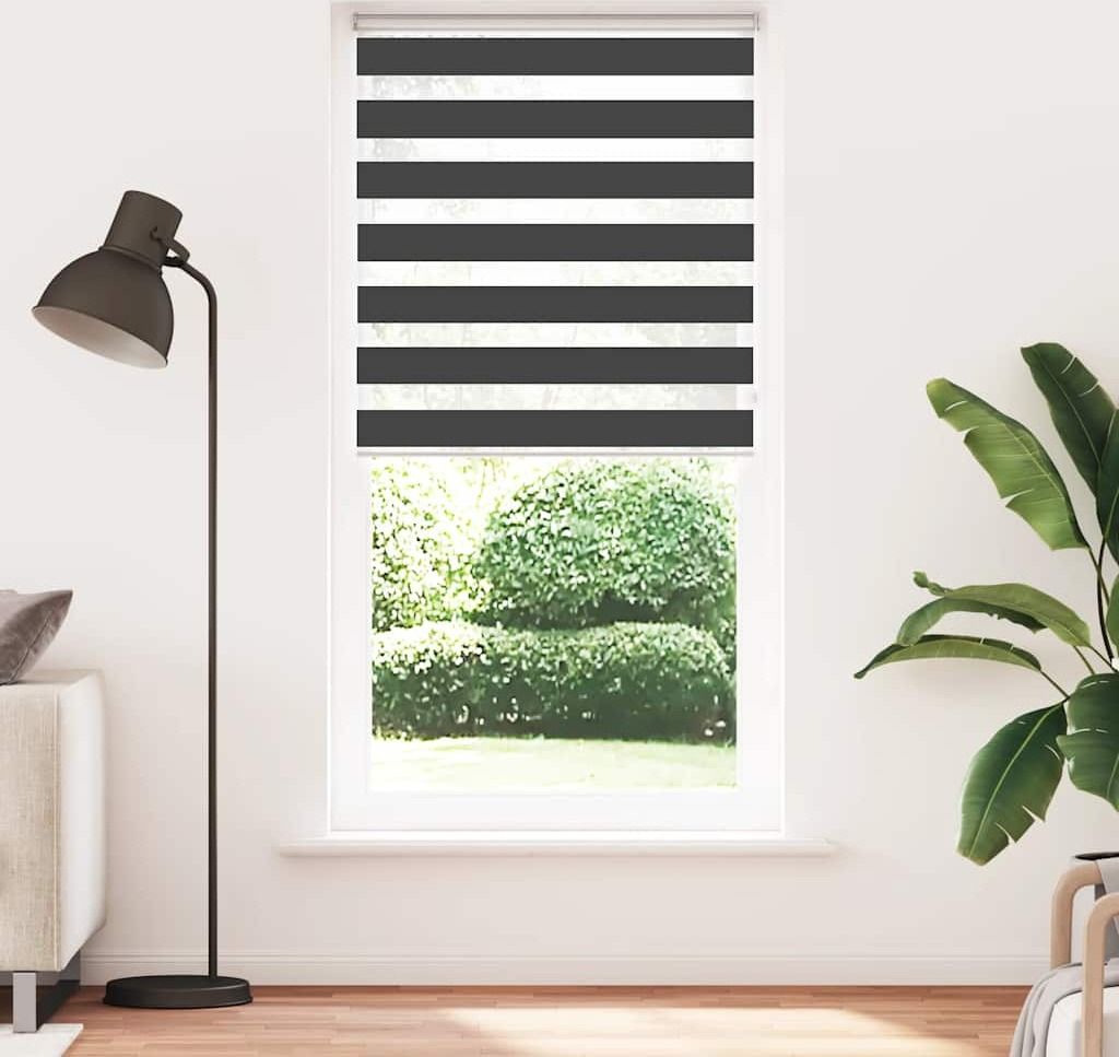Cloris DesignMöbel Doppelrollo Schwarz 110x230cm Stoffbreite 105,9cm Polyester - Rollos DE911688