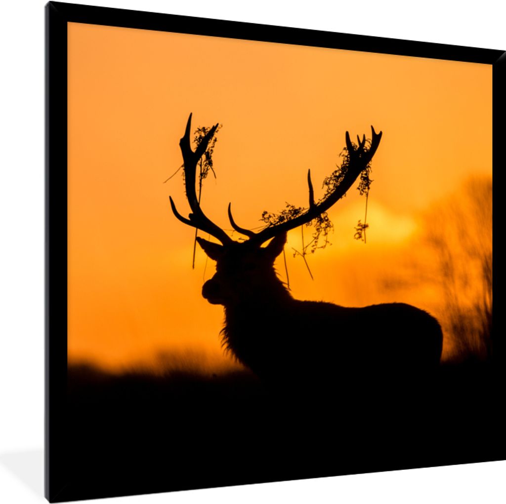 MuchoWow Gerahmtes Poster Hirsch - Orange - Scherenschnitt - Tiere - Natur 40x40 cm - Poster mit Schwarzem Bilderrahmen Wandposter Rahmen Foto Bi...