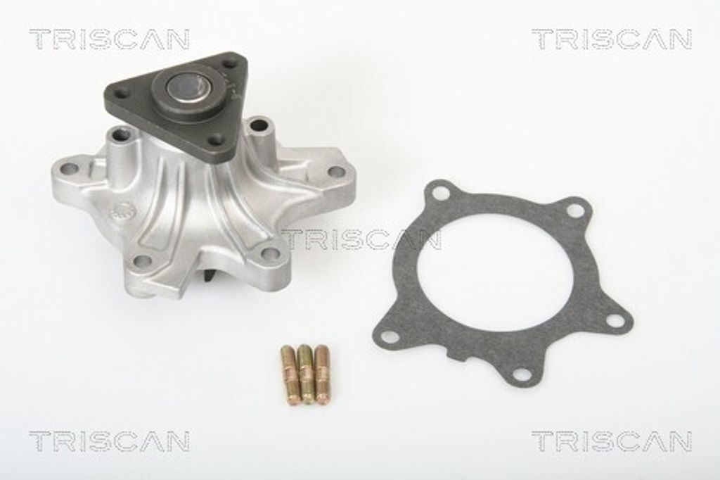 TRISCAN Wasserpumpe 8600 13014