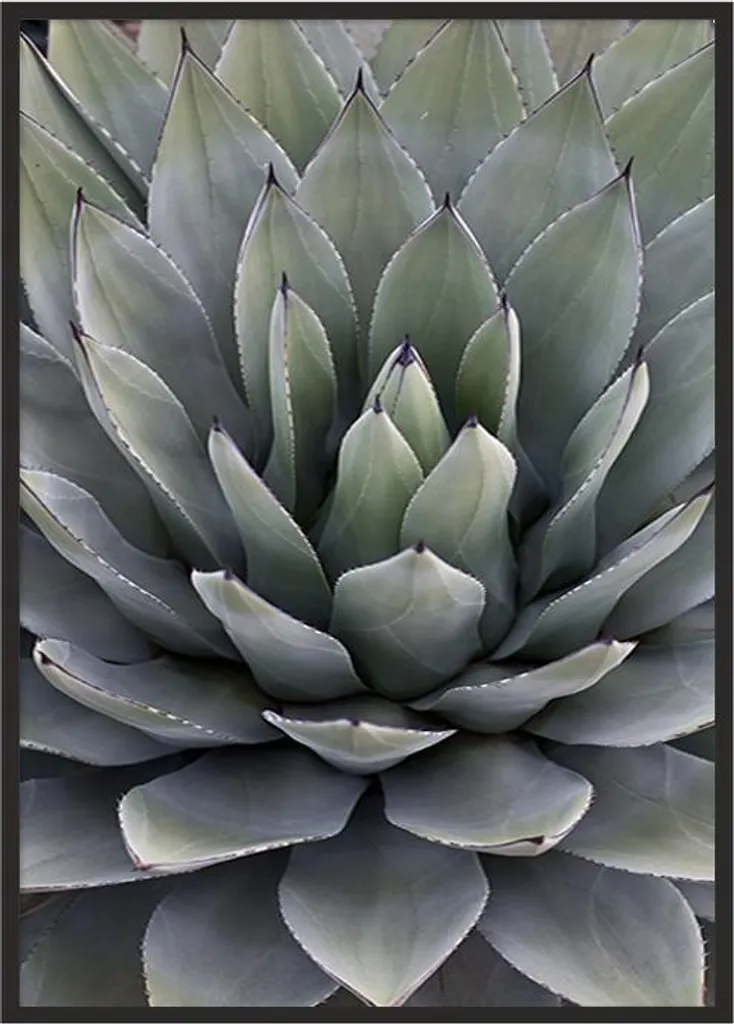Quadro Moderno Foglie P1040 53x73 cm - Cornice Design Contemporaneo