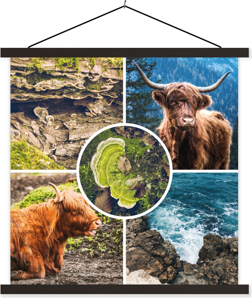 MuchoWow Textilposter Schottische Hochlandrind - Tiere - Natur 60x60 cm mit schwarzem Rahmen - Posteraufhänger