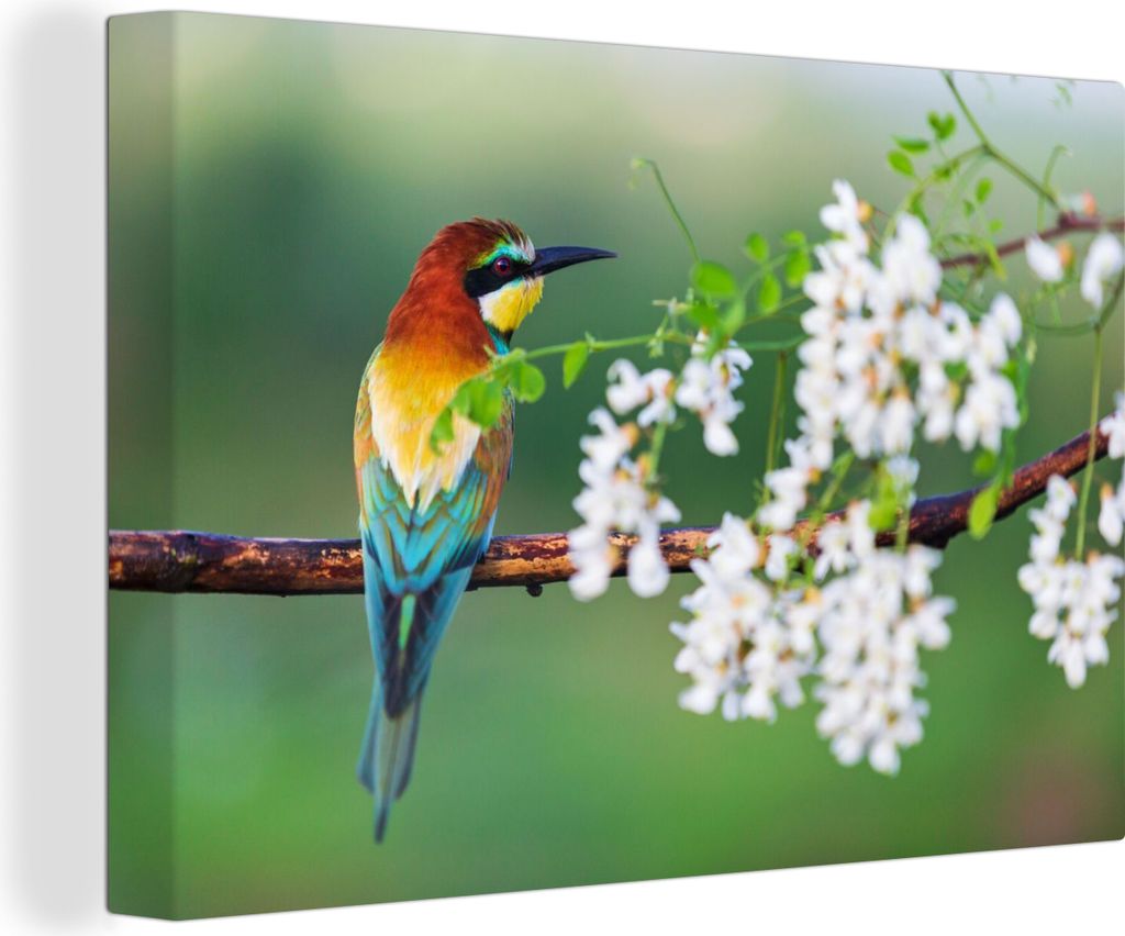 OneMillionCanvasses - Leinwandbilder - 140x90 cm, Vogel - Bienenfresser - Blumen, Wandbilder Kunstdruck Wanddekoration - Foto auf Leinwand - Gem...