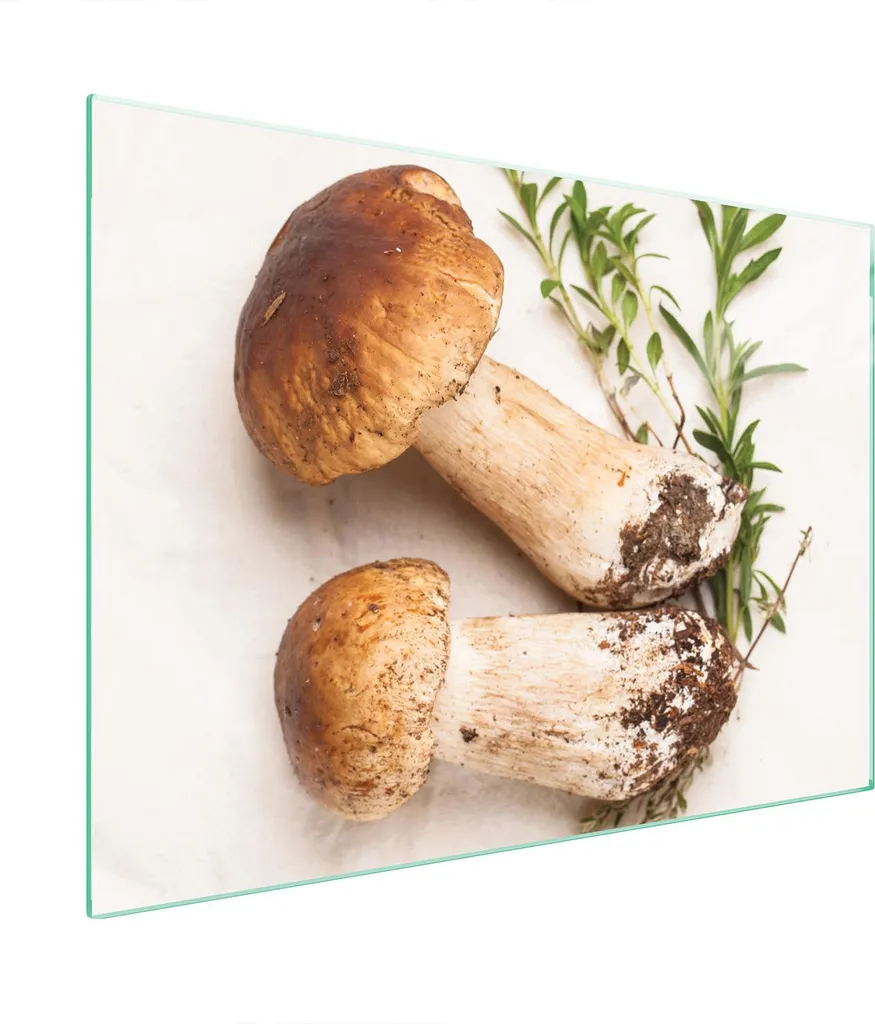 Pannello Vetro Temperato 70x52 Pilze - Protezione Elettrodomestici Top