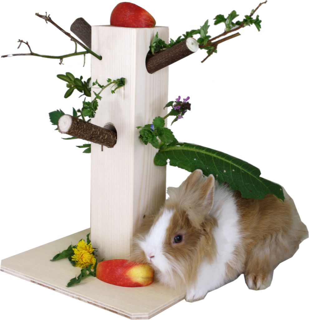 Elmato 10520 Knabberbaum Futterbaum Rübli Spieß Futter Zubehör Käfig, 31cm