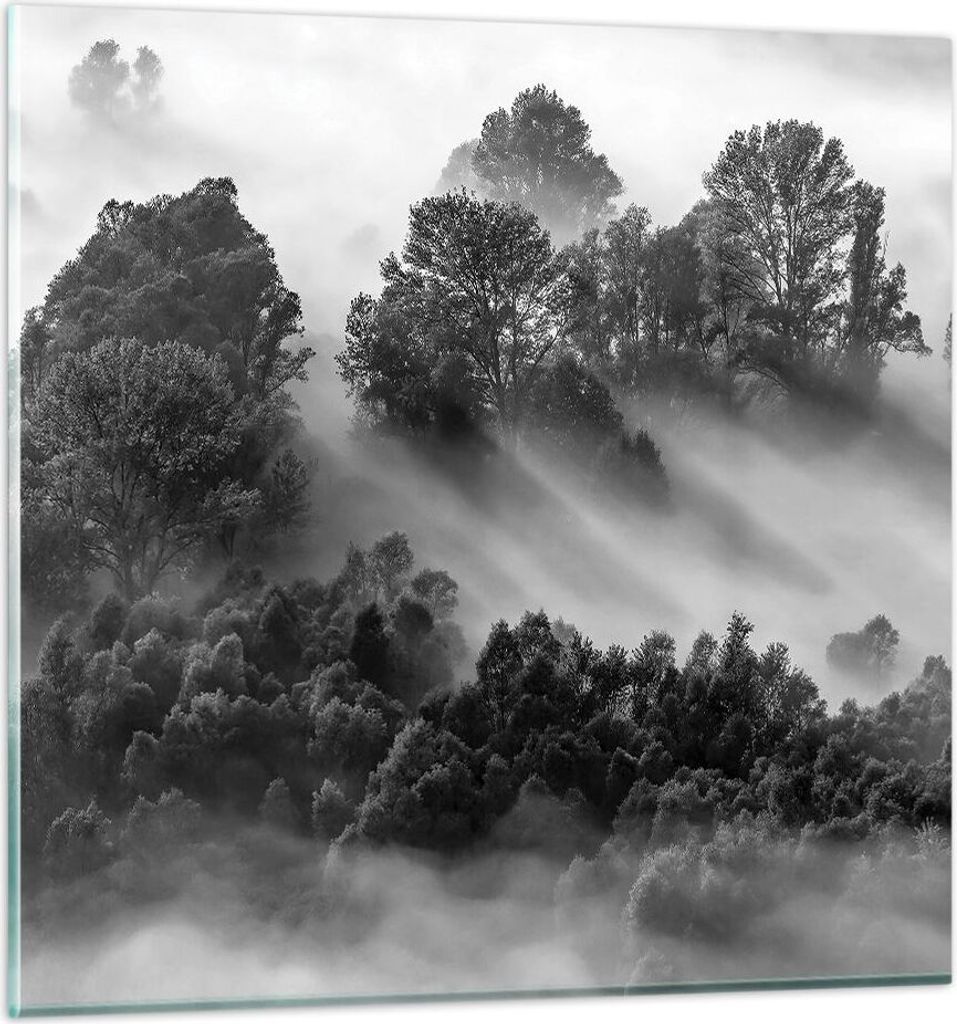 Bilder auf glas - Einteilig - Schwarzweiß Bäume Nebel - 30x30cm - Glasbilder - Wandbilder - Bilder - zum Aufhängen bereit - Wanddekoration aus G...