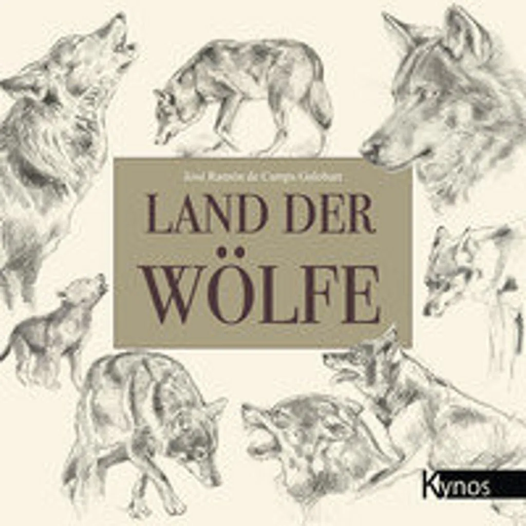 Land der Wölfe : un jeu de stratégie fluide sans règles interminables