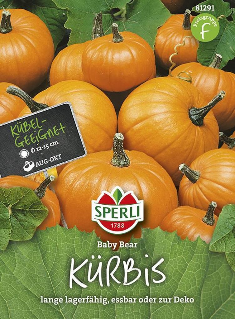 SPERLI Kürbissamen Baby Bear Cucurbita pepo 8 Pflanzen