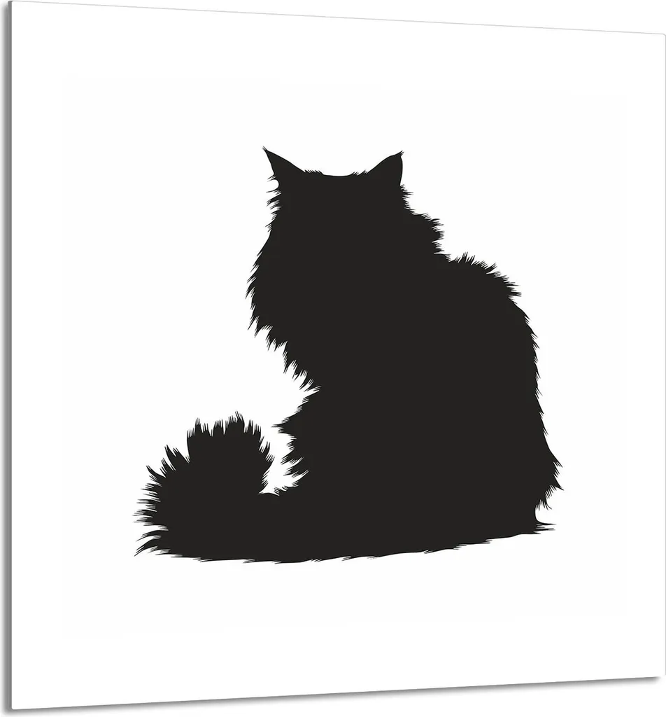 PIATTO IN VETRO PER CUCINA 60x65 cat