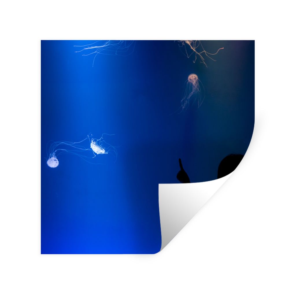 MuchoWow Wandtattoo Wandsticker Wandaufkleber Ein Mädchen betrachtet eine blaue Qualle 100x100 cm Selbstklebend und Repositionierbar - Wierderve...