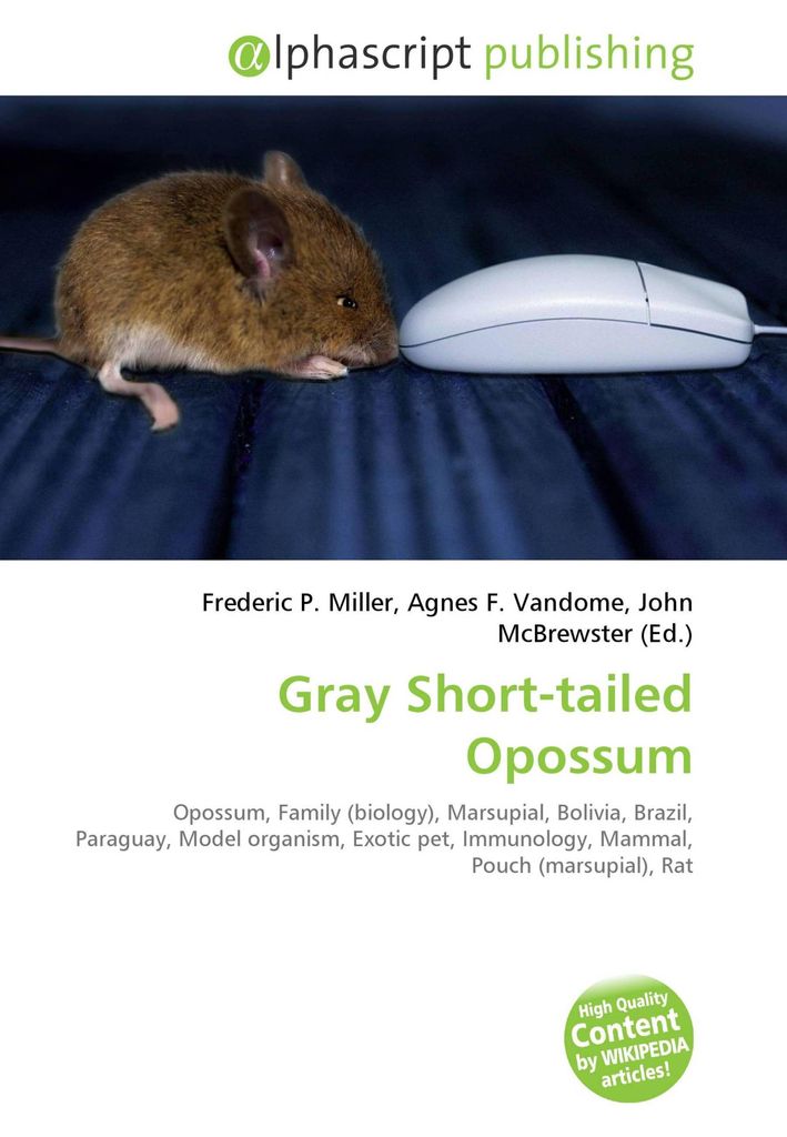 Gray Short-tailed Opossum