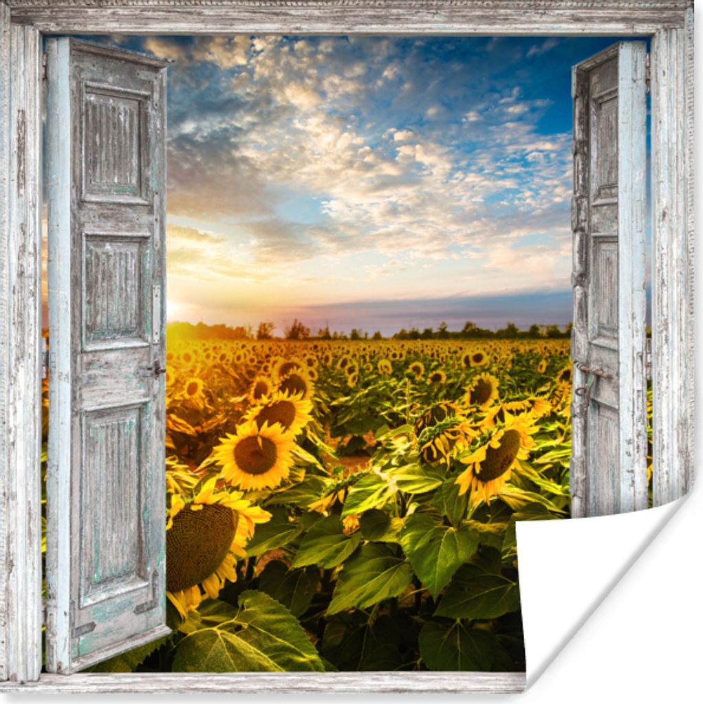 MuchoWow Poster Transparent - Sonnenblume - Blumen - Sonne 50x50 cm - Wohnzimmerdekoration