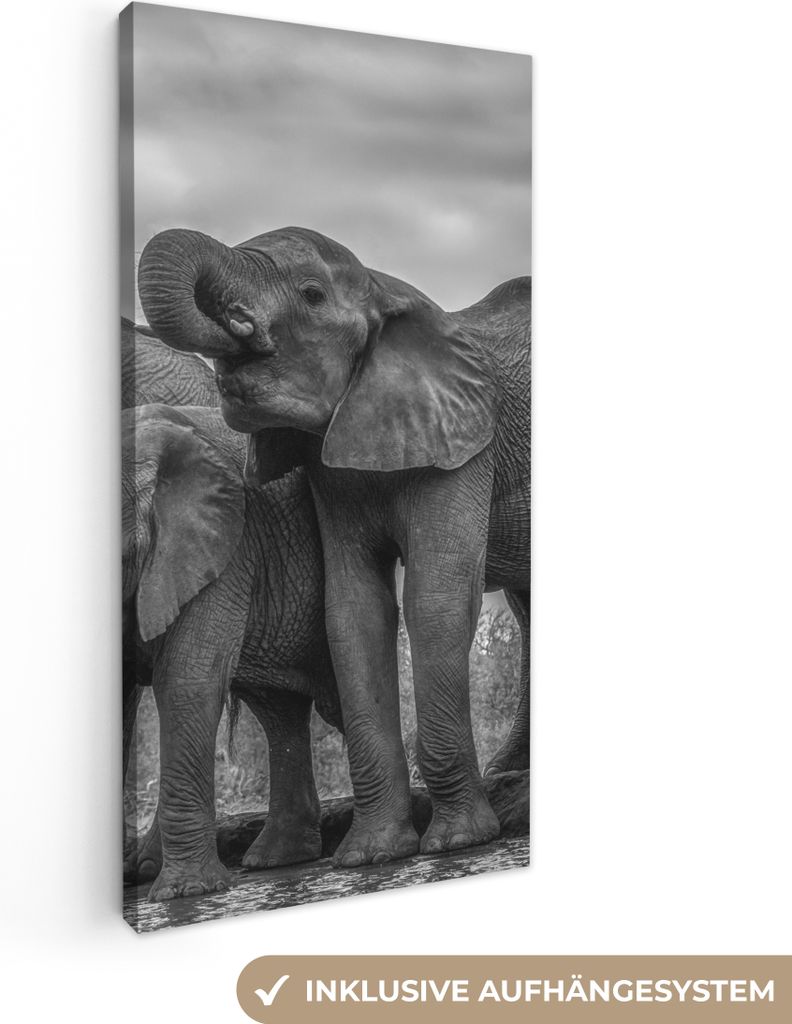 MuchoWow - Leinwandbilder - Elefant - Tiere - Wasser - Schwarz und weiß, Wandbild, Wanddeko Bilder Wohnzimmer, 20x40 cm