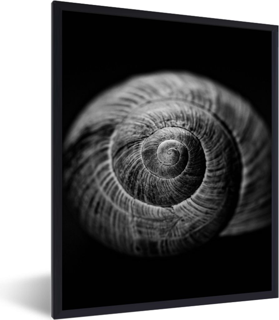 MuchoWow Gerahmtes Poster Schnecke - Tiere - Schwarz - Weiß - Schneckenhaus 60x80 cm - Poster mit Schwarzem Bilderrahmen Wandposter Rahmen Foto ...