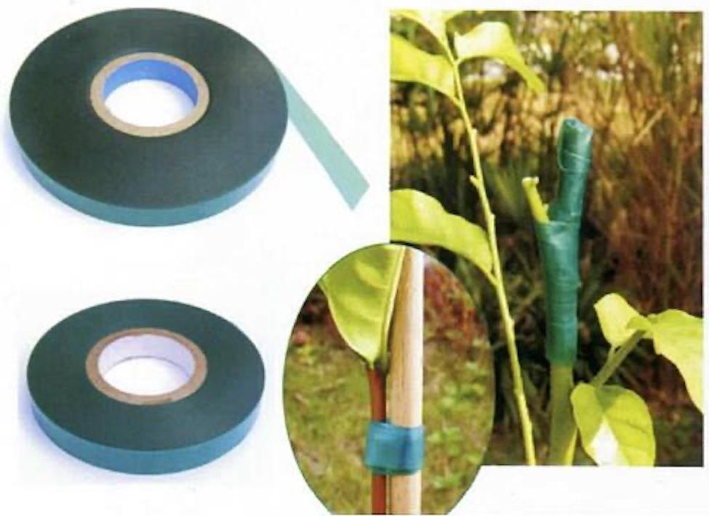 PROREGAL Gartenband, Klebeband Multi 35, 11mm, L-35m