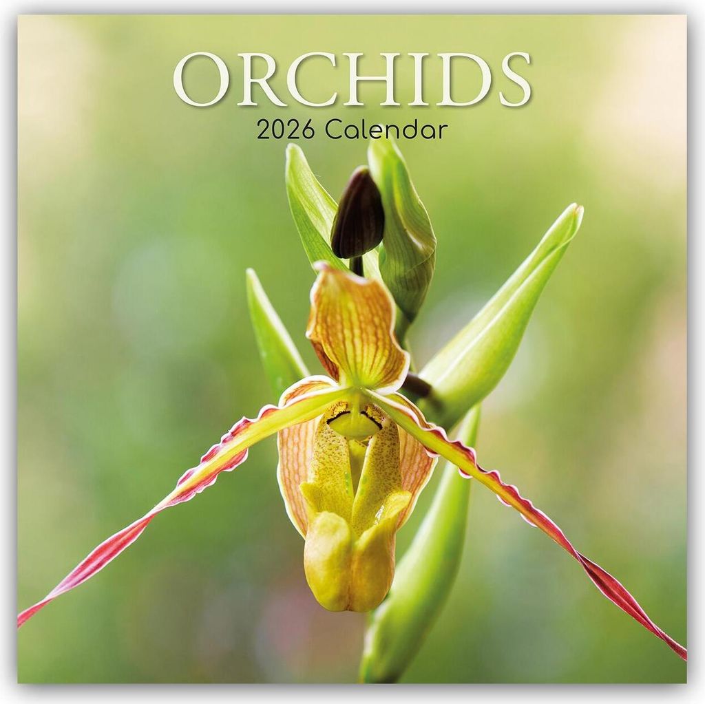 Orchids - Orchideen 2026 - 16-Monatskalender