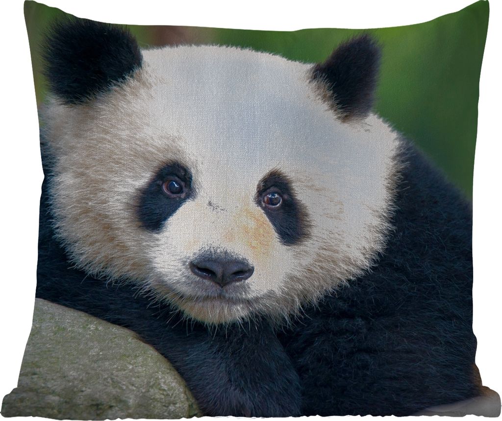 MuchoWow Outdoor Kissen - Panda - Wildtiere - Porträt - Stein - 60x60 cm - Wetterfest - Lounge Kissen - Dekoration - Schlaf Kissen
