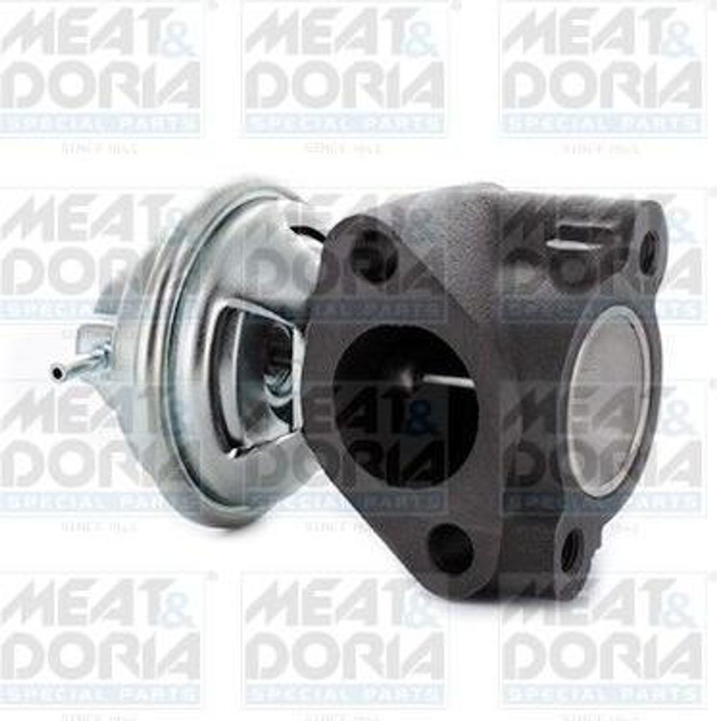 MEAT & DORIA 88738 AGR-Ventil OE 2846142010 kompatibel mit H-1, Galloper