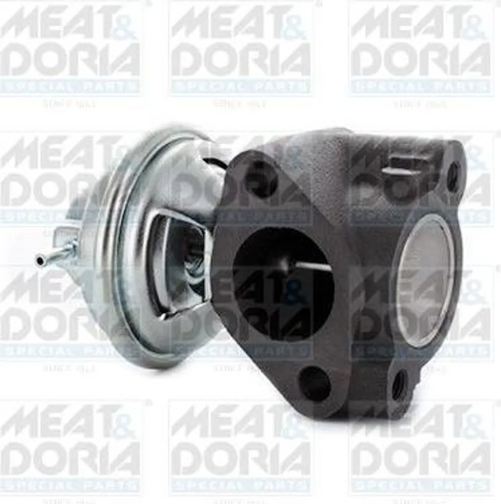 Valve AGR MEAT & DORIA 88738 pour Hyundai H-1 et Galloper OE 2846142010