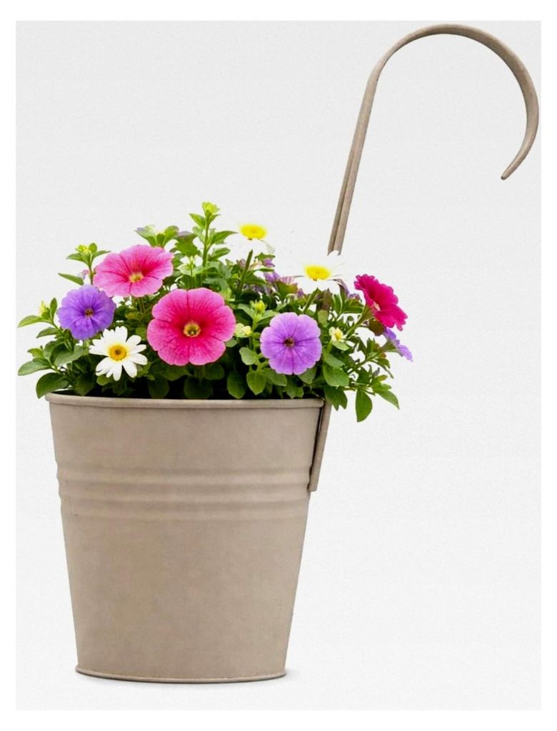 Verzinkter Metall-Hängetopf für Geländer, 14 cm, antikes Finish, Übertopf für Balkon und Garten