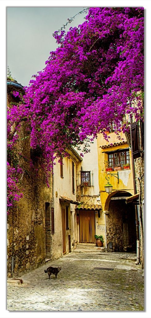 Wallario selbstklebende Türtapete 93 x 205 cm - Malerische Stadt in der Provence mit bunten Blumen - Abwischbar, rückstandsfrei zu entfernen