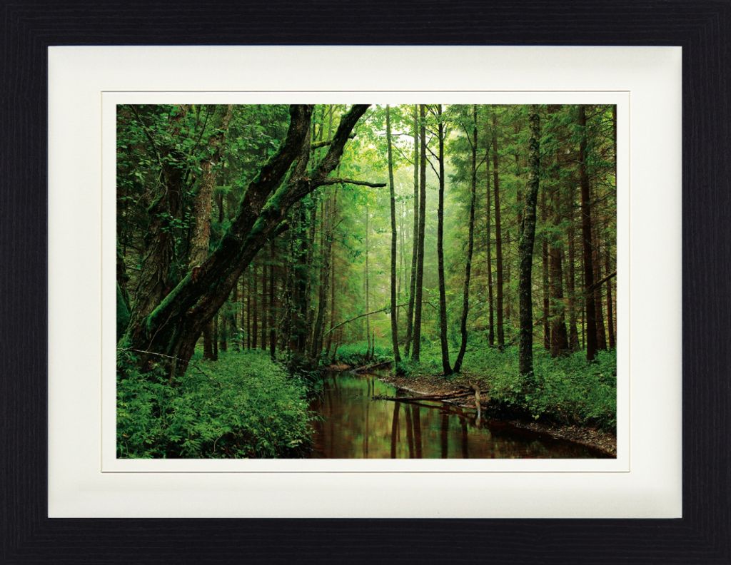 Wälder Gerahmtes Bild Mit Edlem Passepartout | Wand-Bilder | Im Bilderrahmen - Ein Ruhiger Fluss Fließt Durch Den Wald (30 x 40 cm)