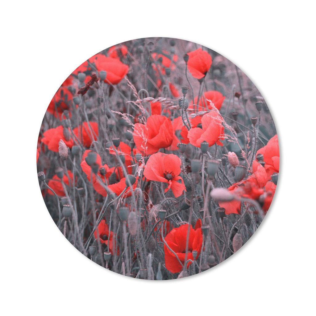MuchoWow Mauspad Mousepad Rote Mohnblumen in einem Schwarz-Weiß-Bild 40x40 cm - Mousepads - Maus Mat - Pad - Mausunterlage - Schreibtisch Access...