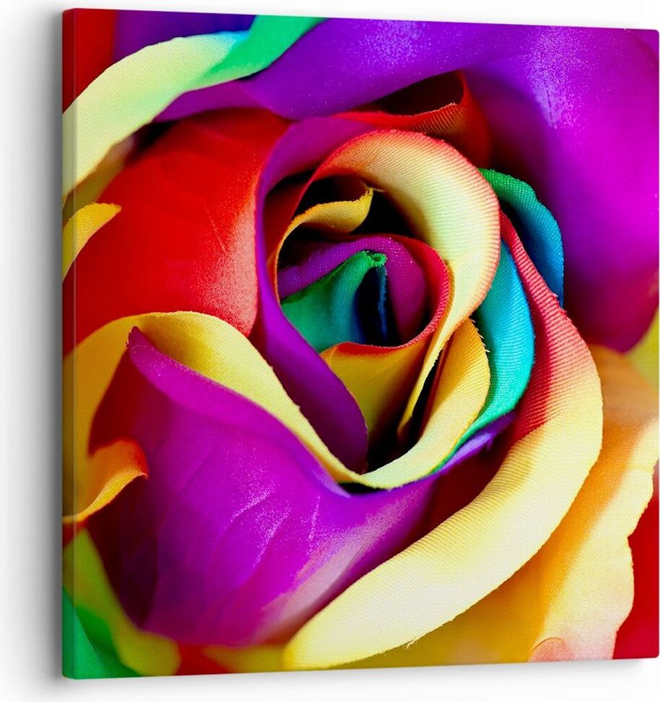 Bild auf Leinwand - Leinwandbild - Blume Farbe Rose - 30x30cm - Wand Bild - Wanddeko - Wandbilder - Leinwanddruck - Bilder - Kunstdruck - Wanddekor...