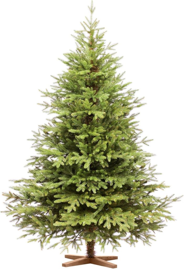 FAIRYTREES Albero di Natale 180 cm Nordman Esclusivo 100% Immagine del prodotto 