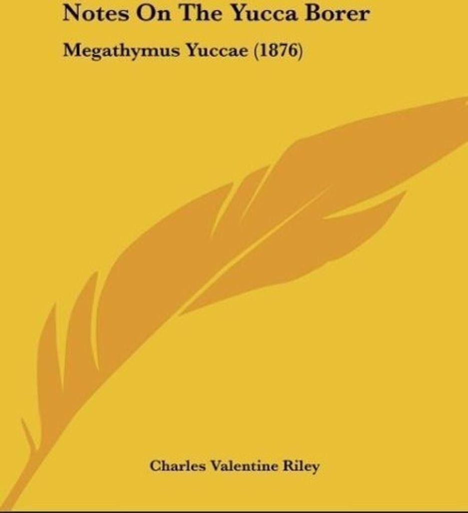 Notes On The Yucca Borer
