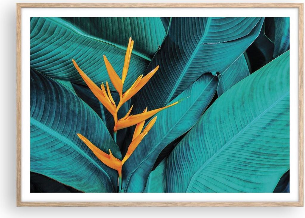 Gerahmtes Poster - Rahmen in heller Eiche - Blumen Tropen Blätter - 100x70 cm - Wand Bild - Wanddeko - Wandbilder - Kunstposter - Wandposter - Bil...