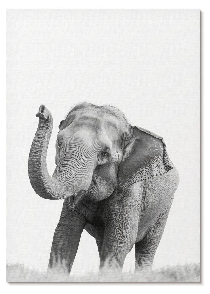 POSTER - 21x29 cm (A4) - Paulina Zielińska - Ein einfarbiger Elefant mit erhobenem Rüssel. - Wandbild für Wohnzimmer Schlafzimmer & Flur, Modern...