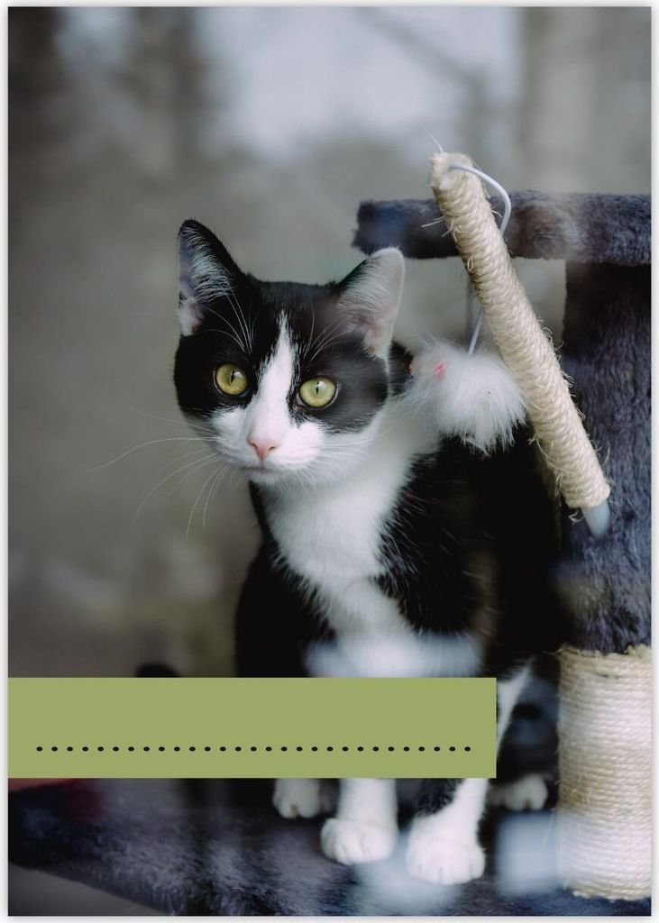 süßer DIN A3 Kinder Malblock Motiv "Katzen Glück"