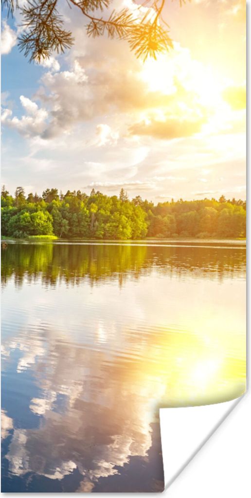 MuchoWow Poster Bäume - Wasser - Sonne 40x80 cm - Dekoration