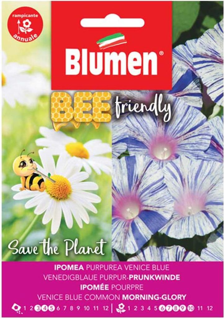 Venedigblaue Purpur-Prunkwinde | Blumensamen von BLUMEN Group