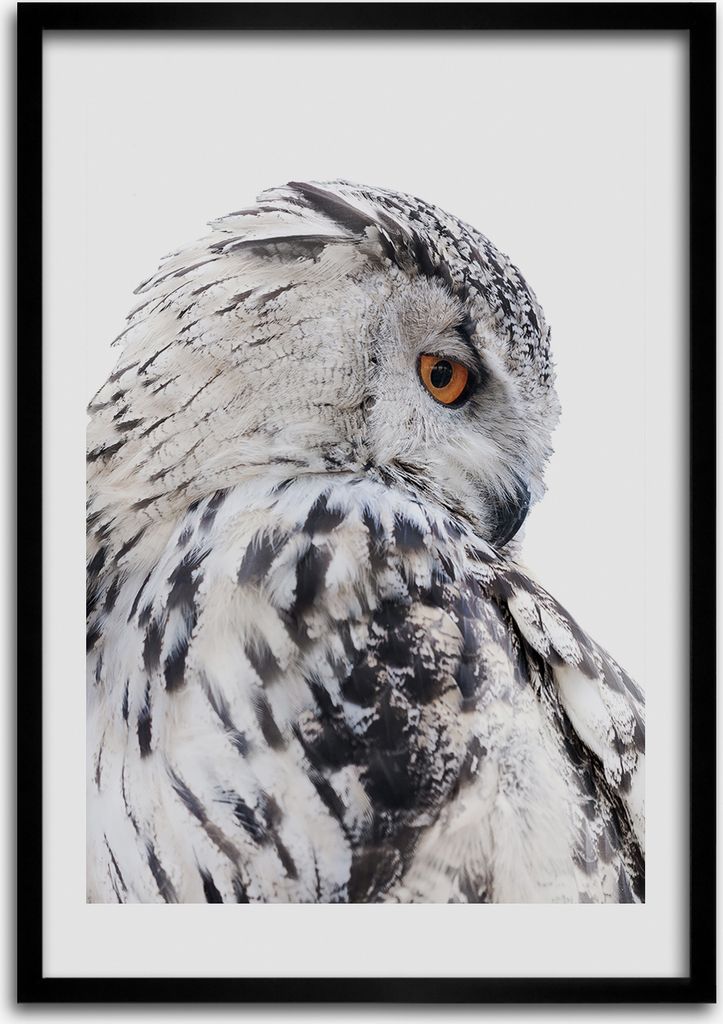 Bild - Bilderrahmen - 50 cm x 70 cm - MDF - Rahmen - Wandkunst Weiße Eule