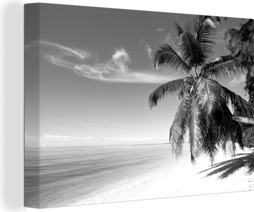 MuchoWow - Leinwandbilder - Tropisches Bild mit Strand und Palmen - schwarz und weiß, Wandbild, Wanddeko Bilder Wohnzimmer, 30x20 cm
