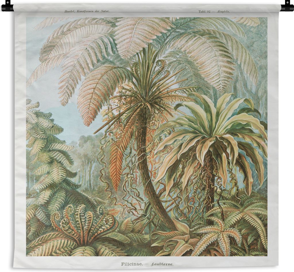MuchoWow Wandteppich Wandbehang Vintage - Alte Meister - Farne - Pflanzen - Natur 120x120 cm Tapisserie Dekoration Wandtuch - Modern - Baumwollge...
