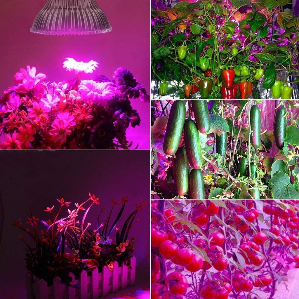 100W E27 Vollspektrum LED Wuchs Lampe Pflanzenlampe Grow Light Pflanzenleuchte 