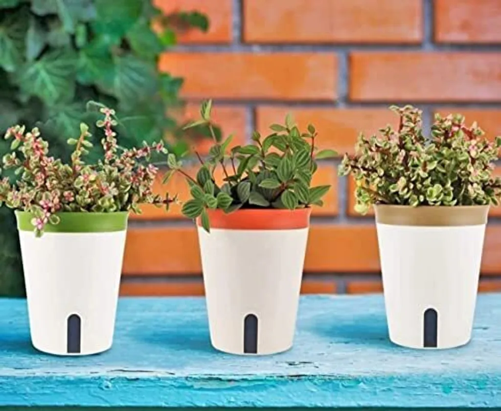 Lateryn Vasi da Fiori 16,5 cm per Succulente ed Erbe - Confezione 3