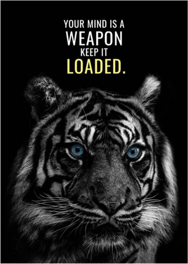 TPFLiving Kunstdruck LW-804 (OHNE RAHMEN) Poster - Leinwand - Wandbild - Hochauflösender Giclée-Druck, langlebig und hochwertig - Tiger und Hund ...