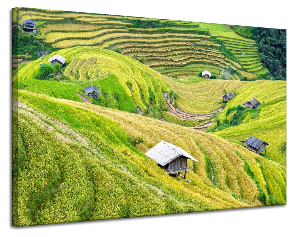 Leinwanddruck Natur Landwirtschaftliche Terrassen 120x80 cm