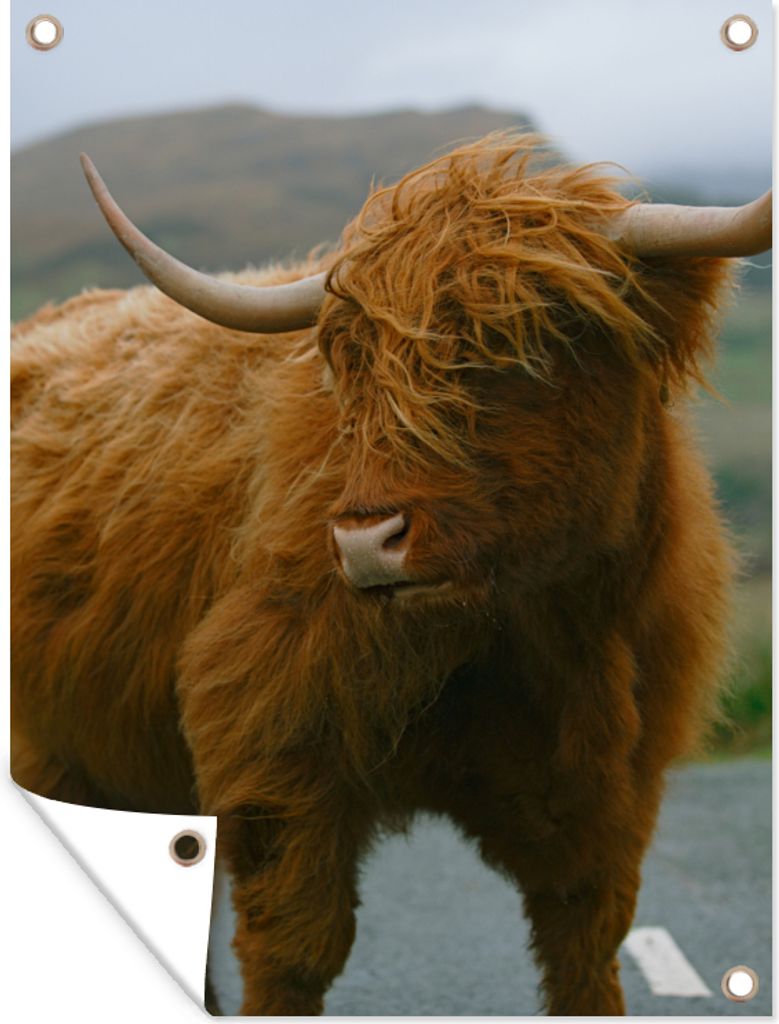 MuchoWow 90x120 cm Outdoor-Poster Gartendeko Sichtschutz Garten Poster für den Garten Schottischer Highlander - Berg - Straße