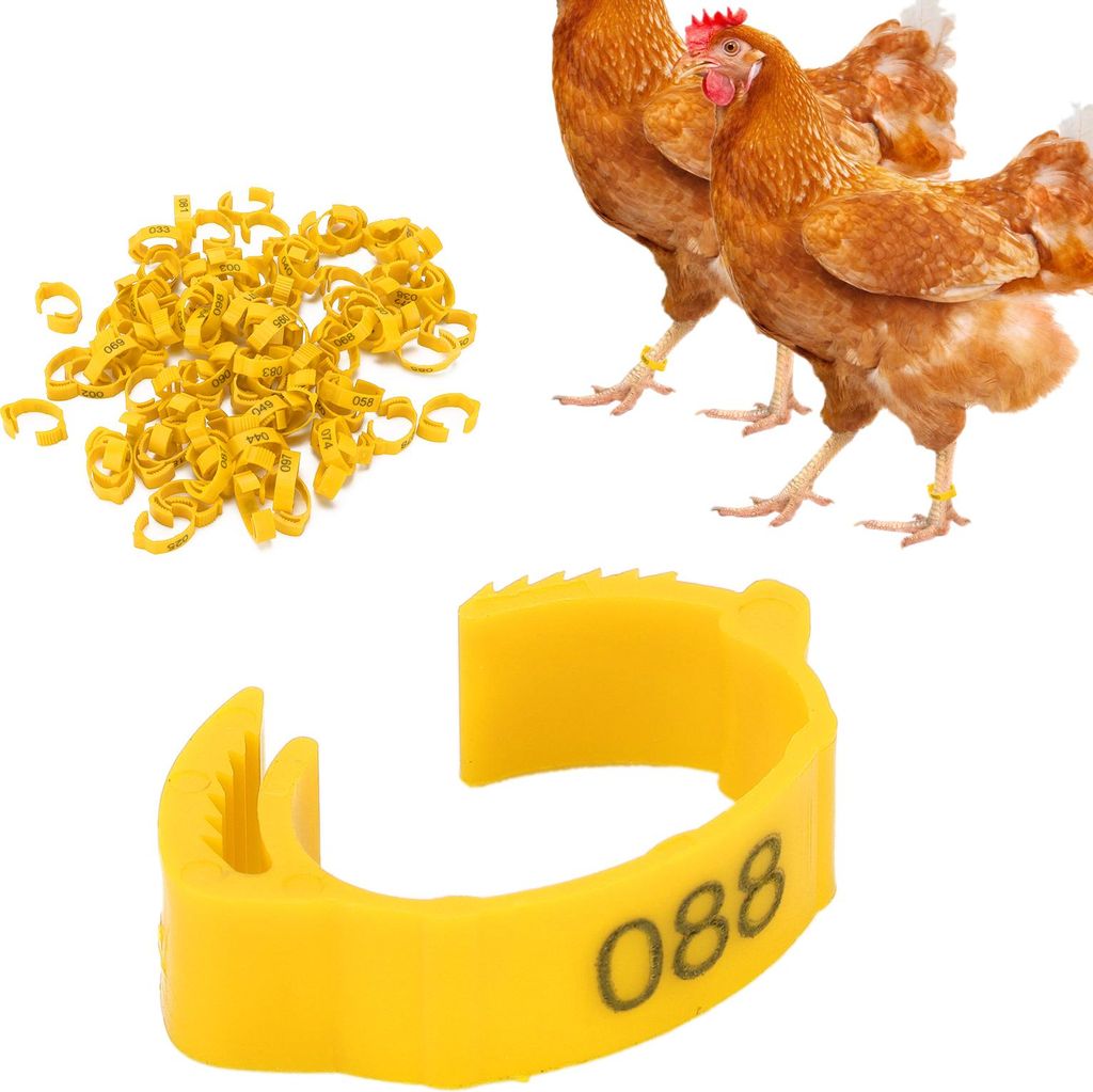 100Pcs Geflügel Fuß Ringe Kennzeichnung Bein Schnalle mit Zahlen für Huhn Ente VogelGelb