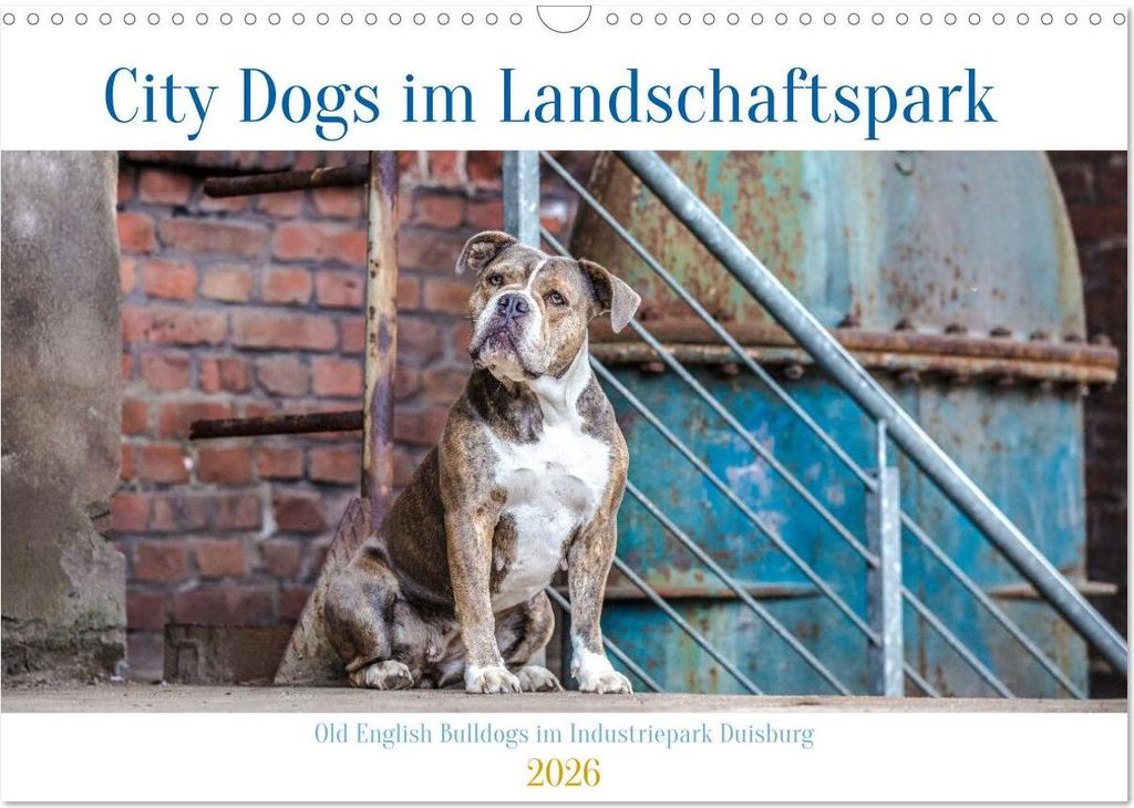 City Dogs im Landschaftspark (Wandkalender 2026 DIN A3 quer), CALVENDO Monatskalender