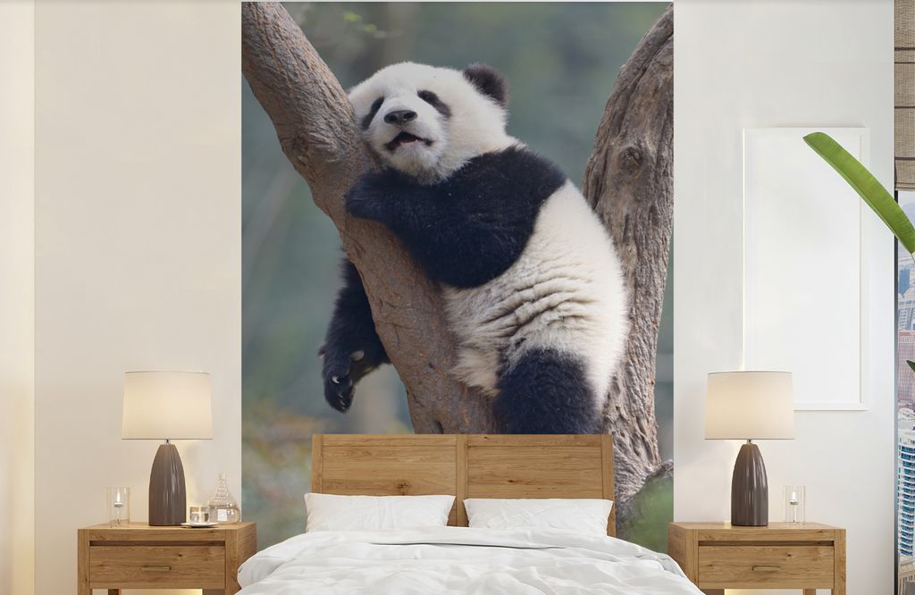 MuchoWow Fototapete für Wohnzimmer oder Schlafzimmer Wandtapete Vinyl Motivtapete Schlafendes Pandabärenjunges - 140x220 cm - Fototapeten